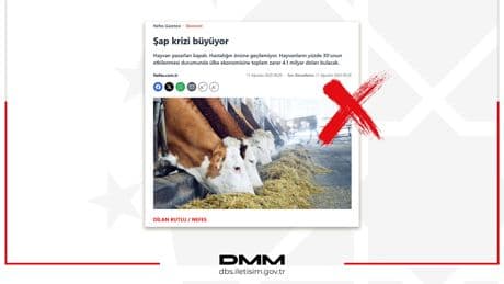 DMM'den şap hastalığı iddialarına yalanlama