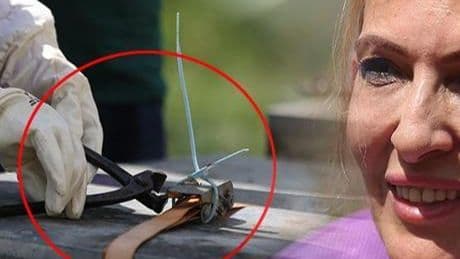 12 mühür tek tek açıldı: Burada kuş sütü bile var