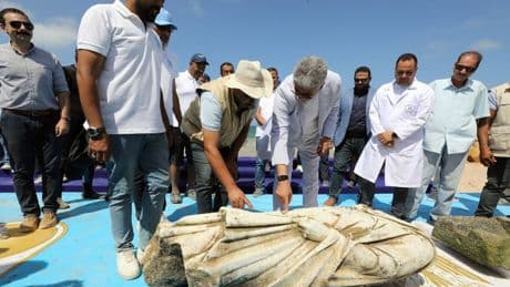 Égypte : des vestiges vieux de 2 000 ans refont surface au large d’Alexandrie