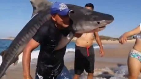'Aquaman mexicano': un hombre sale del mar con un tiburón bajo la atenta mirada de los bañistas