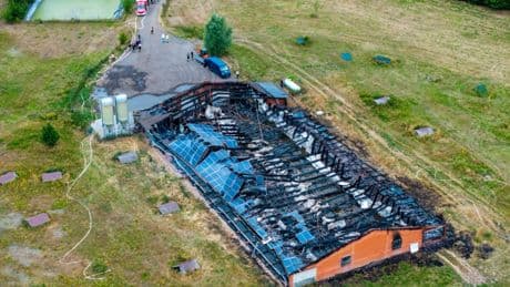 Mecklenburg-Vorpommern: Nach einem Stallbrand sind tausende Hühner tot