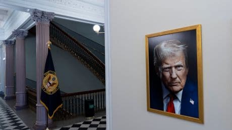 White House shows off a stern-looking Trump portrait with a knock-off Austin Powers twist