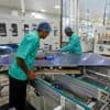 India’s solar industry aiming to compete with China