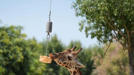 Fotografie: Bilder des Tages