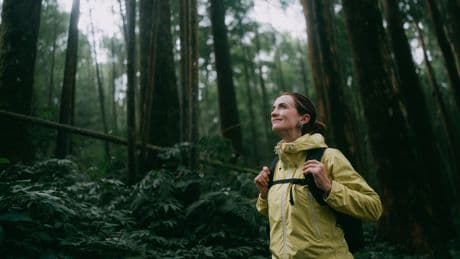 Wandern in Deutschland: Die 8 beliebtesten Regionen im Überblick