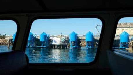 In LA port, bobbing blue floats are turning wave power into clean energy