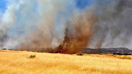 Suspendida la circulación de AVE entre Madrid y Andalucía por un incendio en Ciudad Real