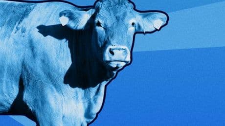 Loi Duplomb : « La préservation de la santé humaine et de l’environnement n’est pas une contrainte »
