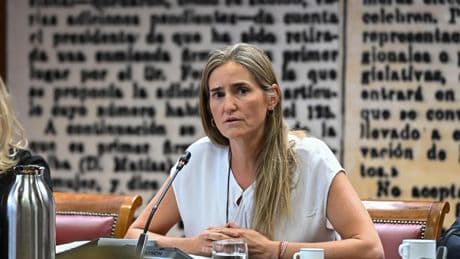 Aagesen presume de gestión en el Senado: el Gobierno hizo un "despliegue sin precedentes" contra el fuego en 29 provincias