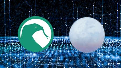 Single-Prozess-Browser mit geringem Ressourcenverbrauch
