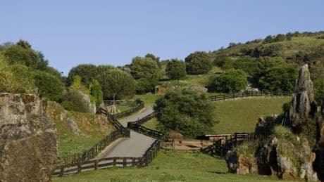 Cabárceno denunciará a tres turistas por colarse en el recinto de los lobos