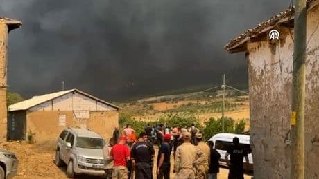 Sakarya yangını Bilecik'e sıçradı! Vatandaşlar eşyalarını taşıyor