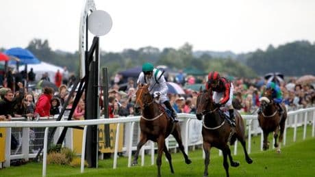 Newsboy's horse racing selections for Wednesday's four meetings, including Ripon Nap