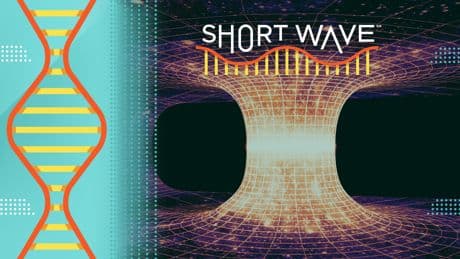 Why this physicist says we shouldn't write off wormholes