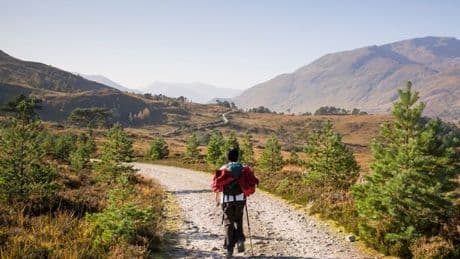 The 'best views in Scotland' from glens to rainforests according to Scots