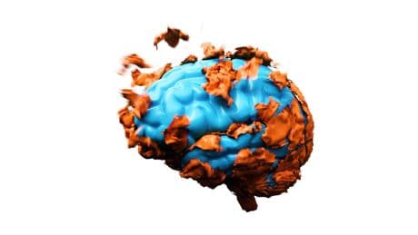 What Happens In The Brain Just Before You Die? A Psychologist Explains