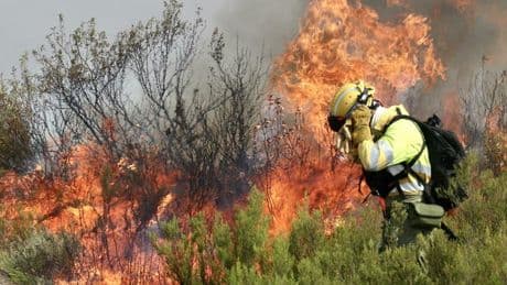 Incendi Spagna, evacuate migliaia di persone: un morto ustionato vicino a Madrid. Ondata di calore fino a 44 gradi