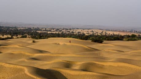 Alors que tous les déserts s'assèchent, celui du Thar reverdit, mais ce n'est pas une bonne nouvelle