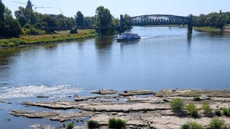 Zu wenig Wasser - „Weiße Flotte“ stoppt Schifffahrt auf der Elbe