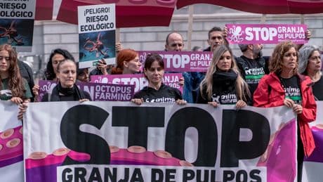 Granjas de pulpos: ¿un negocio cruel?