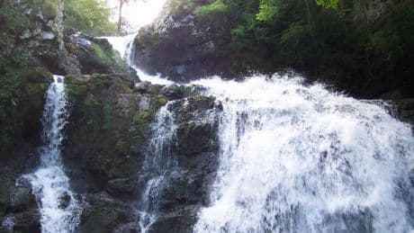 Man dies after falling from waterfall at Scots beauty spot