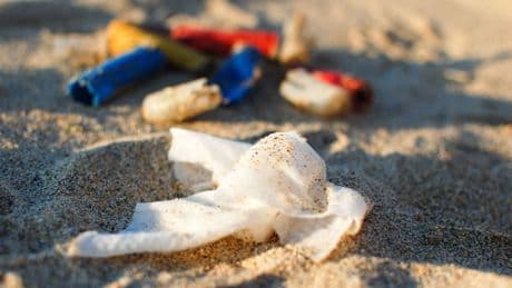 The ‘biodegradable’ product that can be terrible for the environment