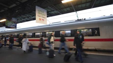 Novità per i cani sui treni, viaggiano gratis su Frecce e Intercity: ecco fino a quando