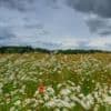 Wetter: Wechselhafter Wochenstart in Berlin und Brandenburg