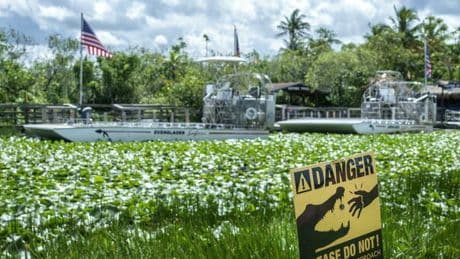 Alcatraz Alligator: dove si trova, quanti detenuti può contenere, chi sono gli italiani rinchiusi, foto e video della prigione