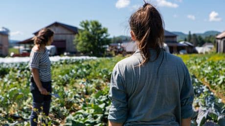 Agriculture biologique : une partie des fonds réorientée, la FNAB dénonce un «hold-up» sur leurs aides