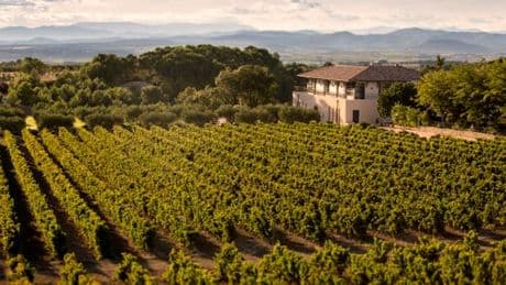 Six domaines viticoles du Languedoc qui valent le détour