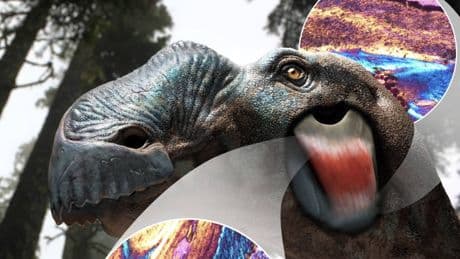 Los dinosaurios podrían haber tenido 'mofletes' y eso cambia mucho de lo que creíamos saber de ellos