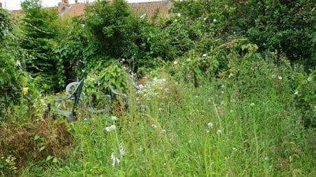 Alan Titchmarsh's 'simple' and 'magic' hack to kill weeds in an instant