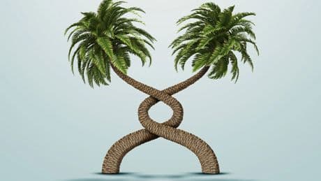 The Problem With the Global South’s Self-Help Push