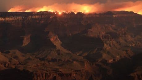 Largest wildfire in the US spreads to more than 126,000 acres in Grand Canyon National Park