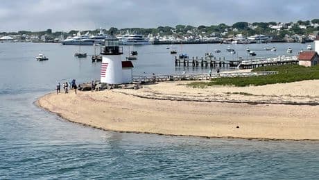 Nantucket man walked into neighbor’s yard and cut down 50-year-old trees to improve his ocean view, suit says