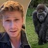 Steve Irwin's son Robert weighs in with wild take on viral '100 men vs one gorilla' debate