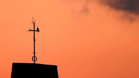 Kirchenasyl in Bremen: Doku zeigt Arbeit von bedrohter Pastorin
