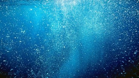 Exploitation des fonds marins : « Attention, prudence, c’est un saut dans l’inconnu »