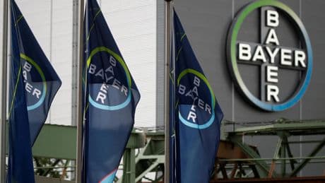 «Ce n’est pas viable»: face aux procédures judiciaires, Bayer envisage d’arrêter de produire du glyphosate