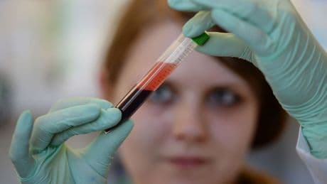 Gesundheit: Deutlich mehr Schwangere in MV nutzen pränatale Bluttests