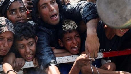 En direct, Gaza : l’ONU veut utiliser au maximum les « pauses humanitaires » acceptées par Israël pour atteindre les habitants affamés de l’enclave