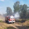 Trockenheit und Hitze: Hohe Waldbrandgefahr in großen Teilen Brandenburgs