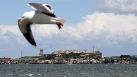 Trump plans to jumpstart one of the nation’s worst prisons. Officials may have to boot threatened seabirds to do it