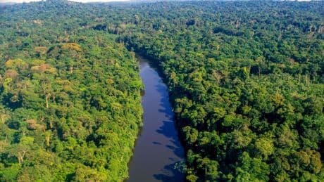 La Guyane vise une production électrique 100 % décarbonée d'ici 2027