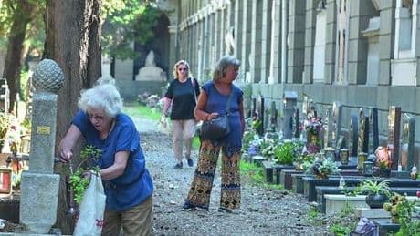 Il virus West Nile, il cimitero di Staglieno e lo spauracchio delle zanzare