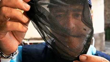 West Nile, morto 77enne di Latina: era stato in vacanza a Baia Domizia. Seconda vittima nel Lazio