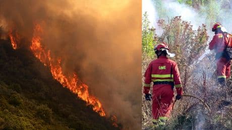 Incendi in Spagna e Francia: 1.500 persone evacuate in Andalusia, bruciati 8mila ettari nell'Aude. Allarme per i turisti in hotel e campeggi