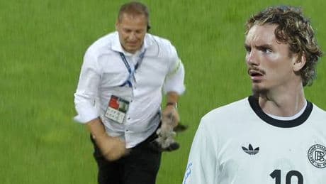 Kurze Unterbrechung bei der deutschen U21 - Verletzte Taube muss vom Platz geholt werden