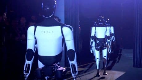Elon Musk dreams of thousands of robots working in factories. Tesla's first Optimus lead has doubts.
